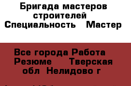 Бригада мастеров строителей › Специальность ­ Мастер - Все города Работа » Резюме   . Тверская обл.,Нелидово г.